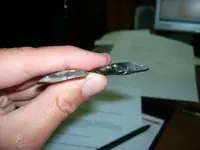 Stemmed_Cross.webp