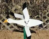 snowgoose.webp