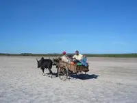 Moving%20to%20Bedo%20camp.webp