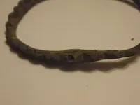 P9290007.webp
