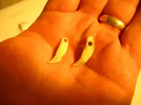 drilled teeth.webp