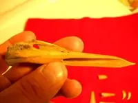 turkey bone awl.webp