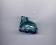 A teal turtle ink.webp