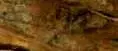 Death-3.webp