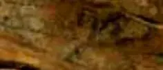 Death-4.webp