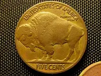johnsnew 781.webp
