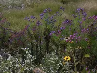Fall is bustin out all over.webp