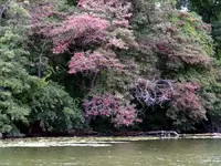 cove of color.webp