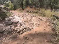 Rough Spot on Senator Hwy.webp