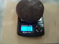 Panama Seaheart 3.webp