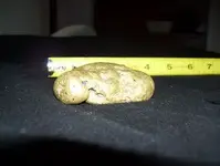 gold nugget2.webp