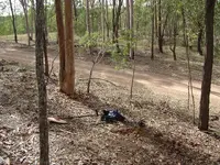 Nugget Hill 001.webp