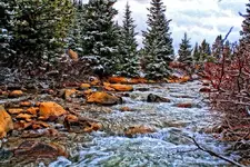 tenmilecreek.webp