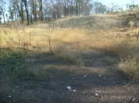 S7301132.webp