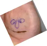 Carl the cut.webp