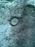SJ 02.webp