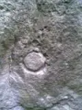 SJ 01.webp