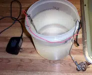 Electrolysis Of Items 001.webp