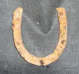 CIMG1155.webp