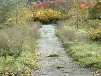 Picture 016.webp