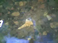 0930091441.webp