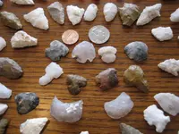 IMG_2163 (Large).webp