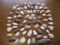 IMG_2164 (Large).webp