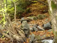 DSC02189.webp