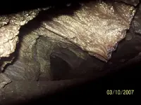 gold nugget room.webp