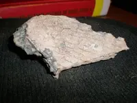 phpenUq7PAM.webp
