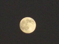 full moon1.jpg