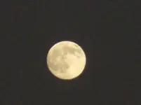 full moon1.webp