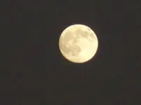 full moon2.webp