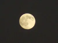 full moon3.webp