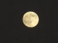 full moon4.webp