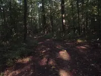 a deer bolted from the trail as I snapped this.webp