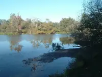 more oakwoods.webp