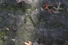Nov 2009 Symbols.webp