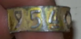 band 1954.webp