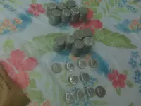coins 1.webp