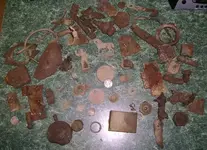 big park finds 006.webp
