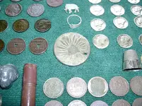 big park finds 034.webp