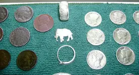 big park finds 035.webp