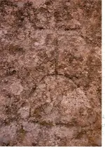 Scan0003.webp