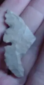 fpoint2.webp