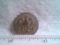 Picture 1.webp