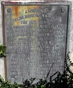 anniron0333.webp