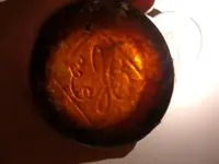 DSCF5596.webp