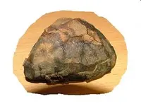 stone1.webp