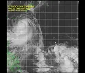typhoonm.webp